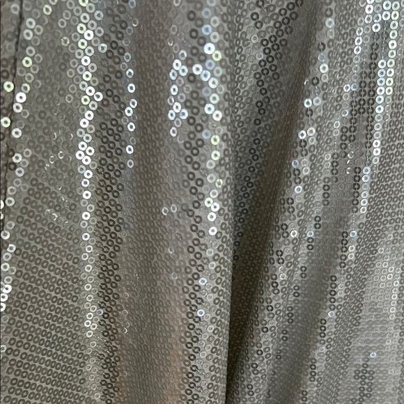 Skinnygirl Silver Sequin Blouse Size XL - Picture 5 of 8
